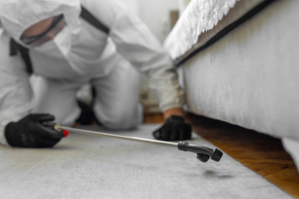 Professional Termite Control technician working in Hartville, OH