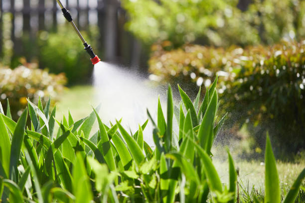 24/7 Emergency Termite Control experts in Hartville, OH