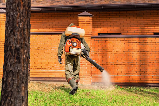 Trusted Termite Control service in Hartville, OH - Nex Pest Control
